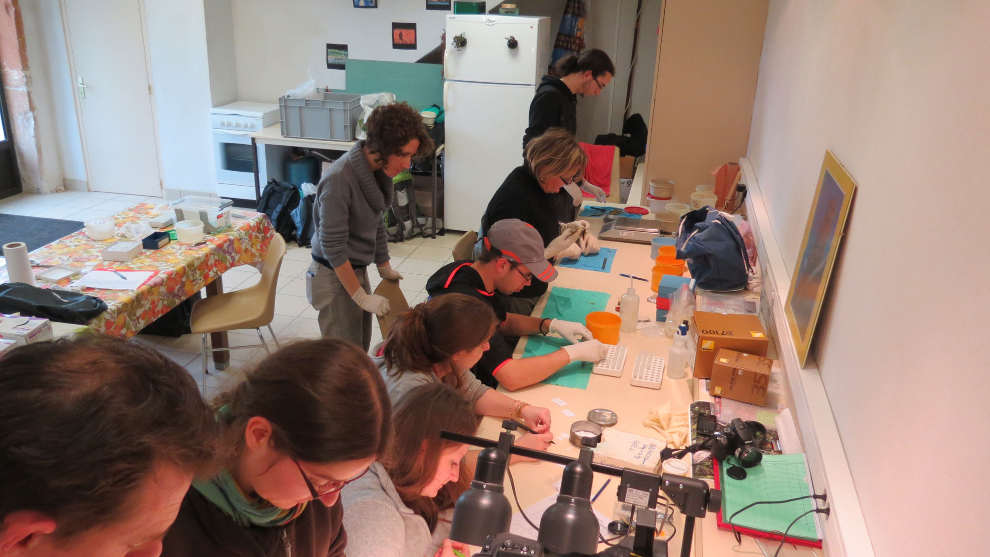 Equipe de recherche au travail dans la salle de manipulation Equipe de recherche au travail dans la salle de manipulation