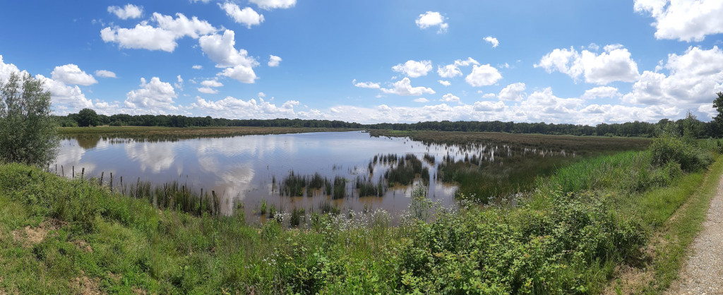 Etang Boufflers