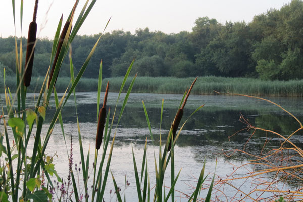 Etang Page Etang Page