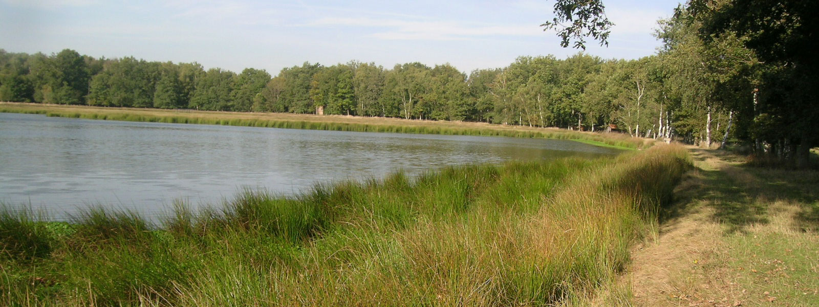 Etang Riquet