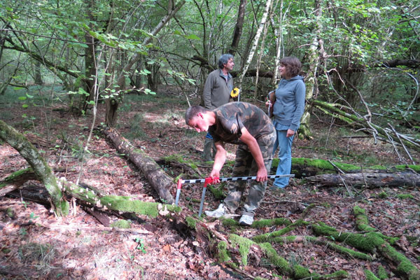 Scientifiques dans la forêt