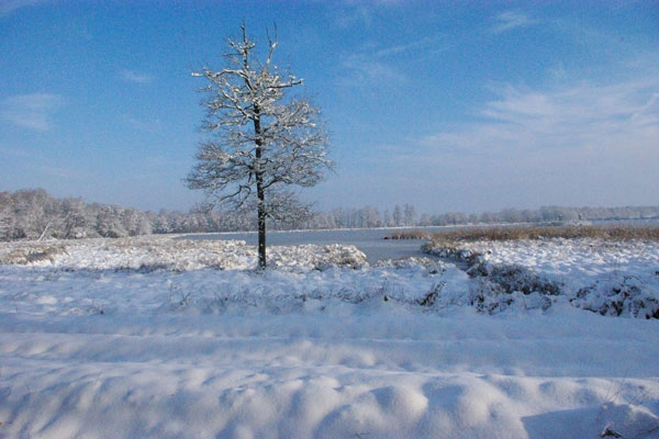 Etang Boufflers sous la neige